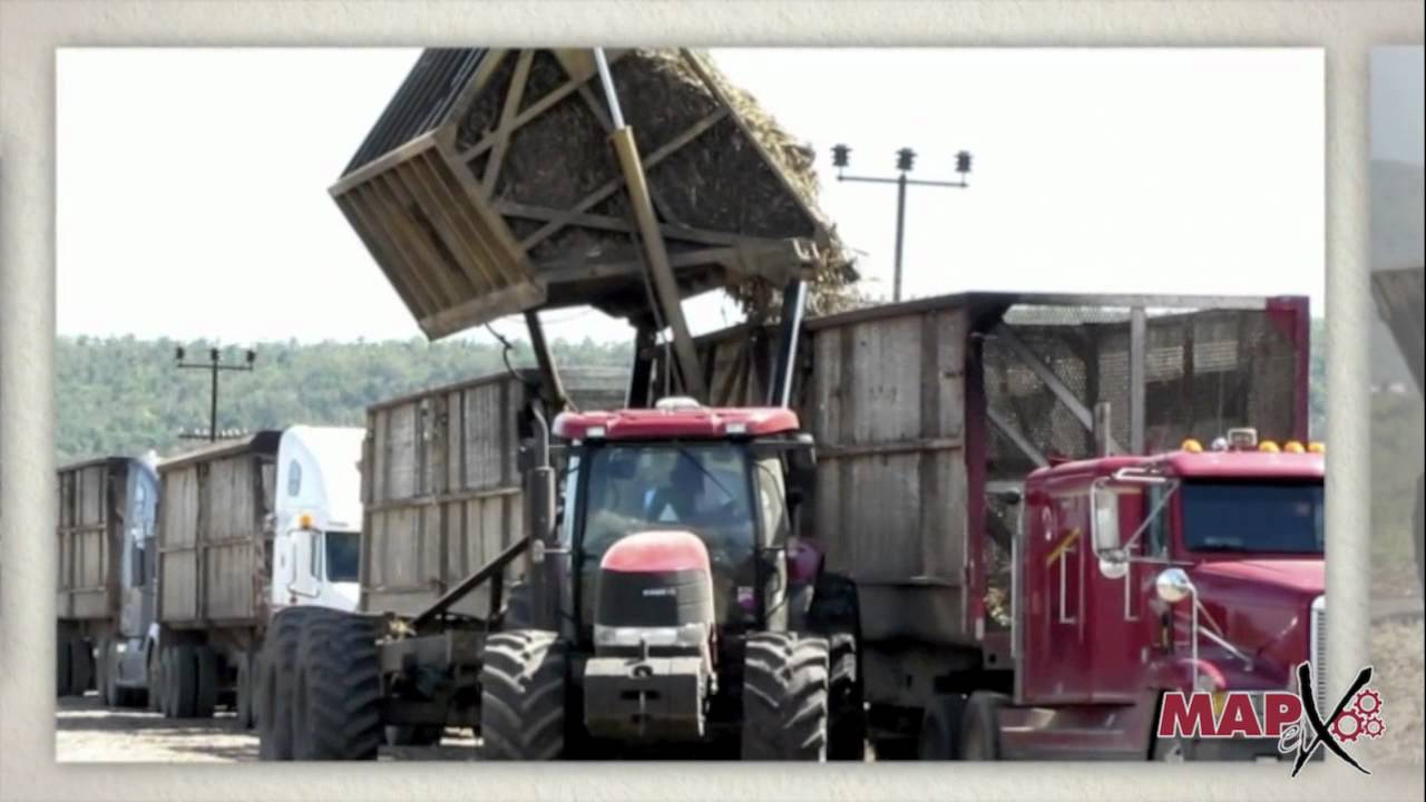 Mapex - Case IH Puma 195 & Mapex Self Unload Wagon MXW-8 - Appleton & New Yarmouth - Clarendon, JA