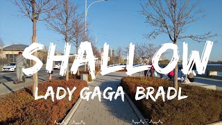 Lady Gaga, Bradley Cooper - Shallow (Lyrics)  || Reuben Music