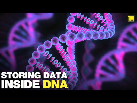 Video: Scientists Have Come Up With A New Way To Store Data Inside DNA - Alternative View
