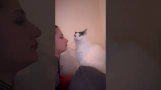 Owner Kissing Her Cat repeatedly But It Doesn't React