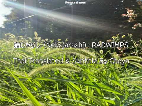 [THAI SUB] 猫じゃらし (Nekojarashi) : Radwimps