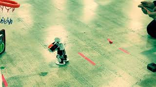 Plen Robot Walking With Basketball