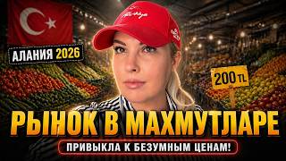 Я УЖЕ ПРИВЫКЛА К ЦЕНАМ 2026! Турецкий базар в Алании — что купила и сколько отдала?