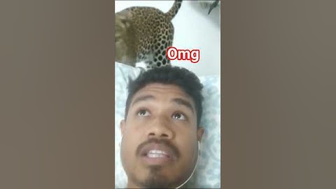 leopard leap filter 😈🫥🔥 #tutorial #filter