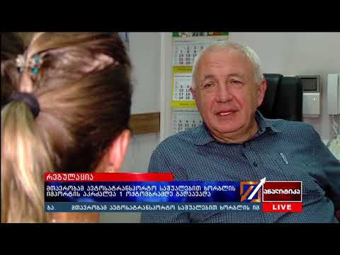 მთავრობამ ავტოსატრანსპორტო საშუალებით ხორბლის იმპორტის აკრძალვა 1 ოქტომბრამდე გადაავადა