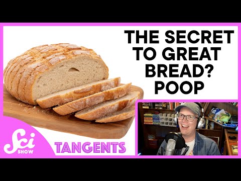 SciShow Tangents