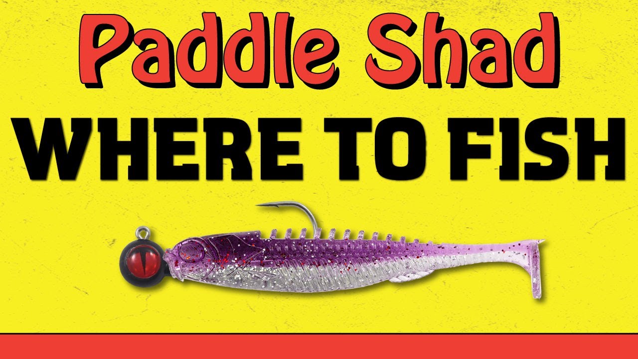 Eye-Candy Paddle Shad - Northland Fishing Tackle