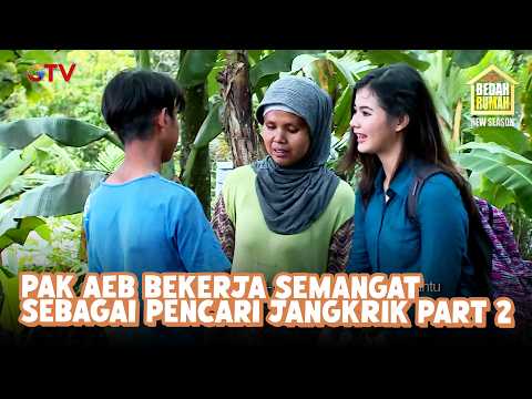 Pak Aeb Works Enthusiastically as a Cricket Hunter Part 2 | Home Makeover