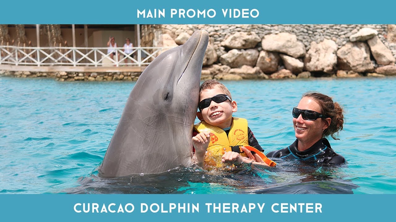 Dolphin Therapy Curaçao Introduction Video YouTube