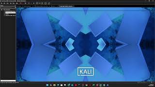 How to get back cursor on latest vmware workstation pro 25H2 version
