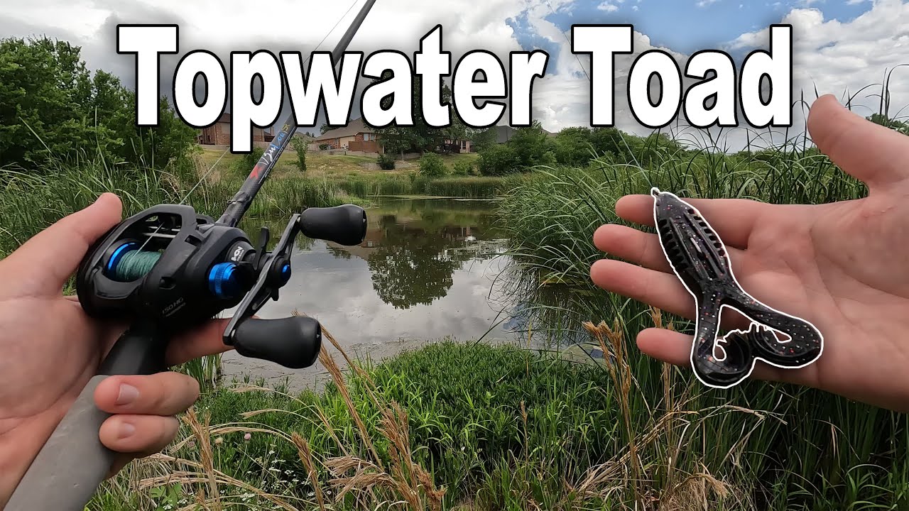 Topwater Toad Summer Bass Fishing! “COMMITTED” 