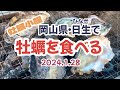 2024.2.28 岡山県日生(ひなせ)に牡蠣を食べに行って来た!! 牡蠣小屋 水餃子