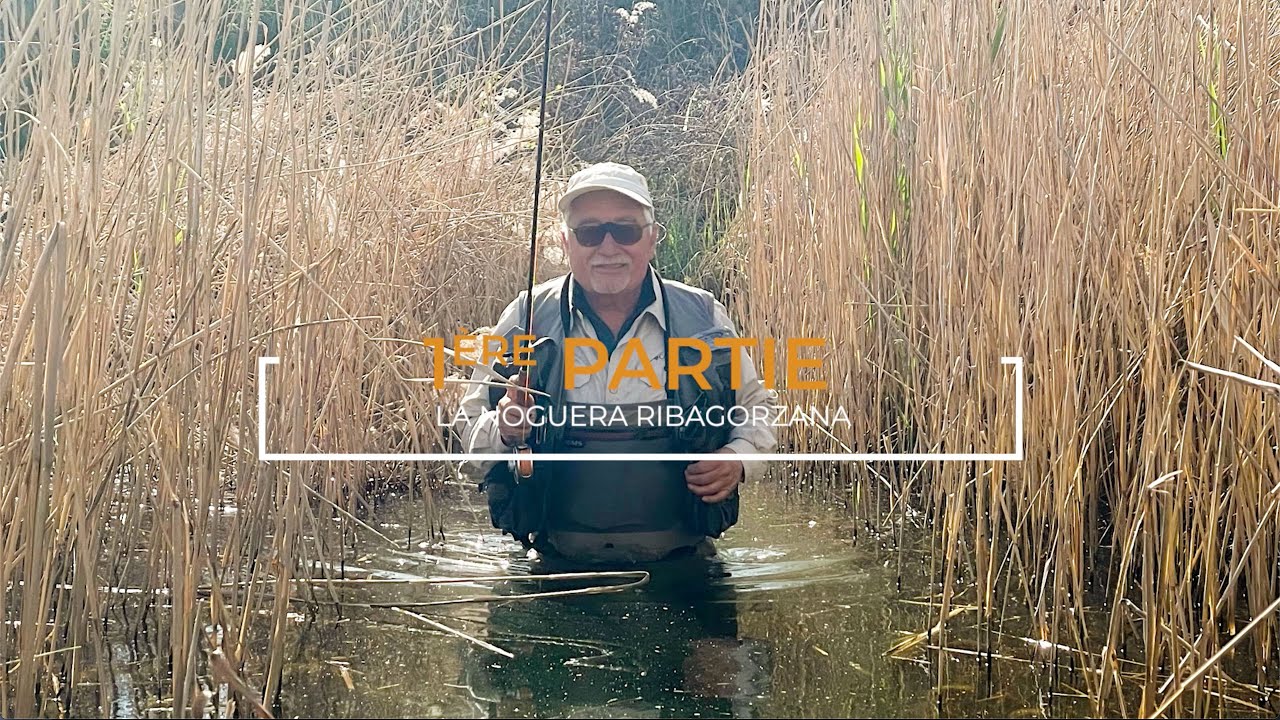 La Noguera Ribagorzana Rivière Espagnole (Catalogne)