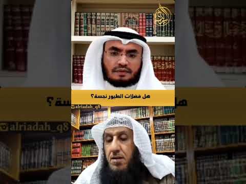 هل فضلات الطيور نجسة د محمد الحمود النجدي
