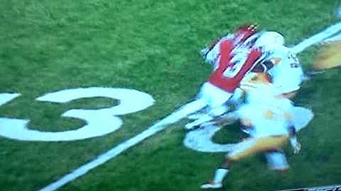 Joe Adams punt return
