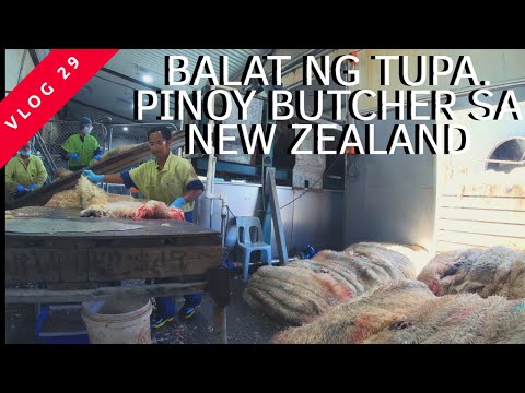 Video: Paano Tumahi Ng Isang Coat Ng Balat Ng Tupa