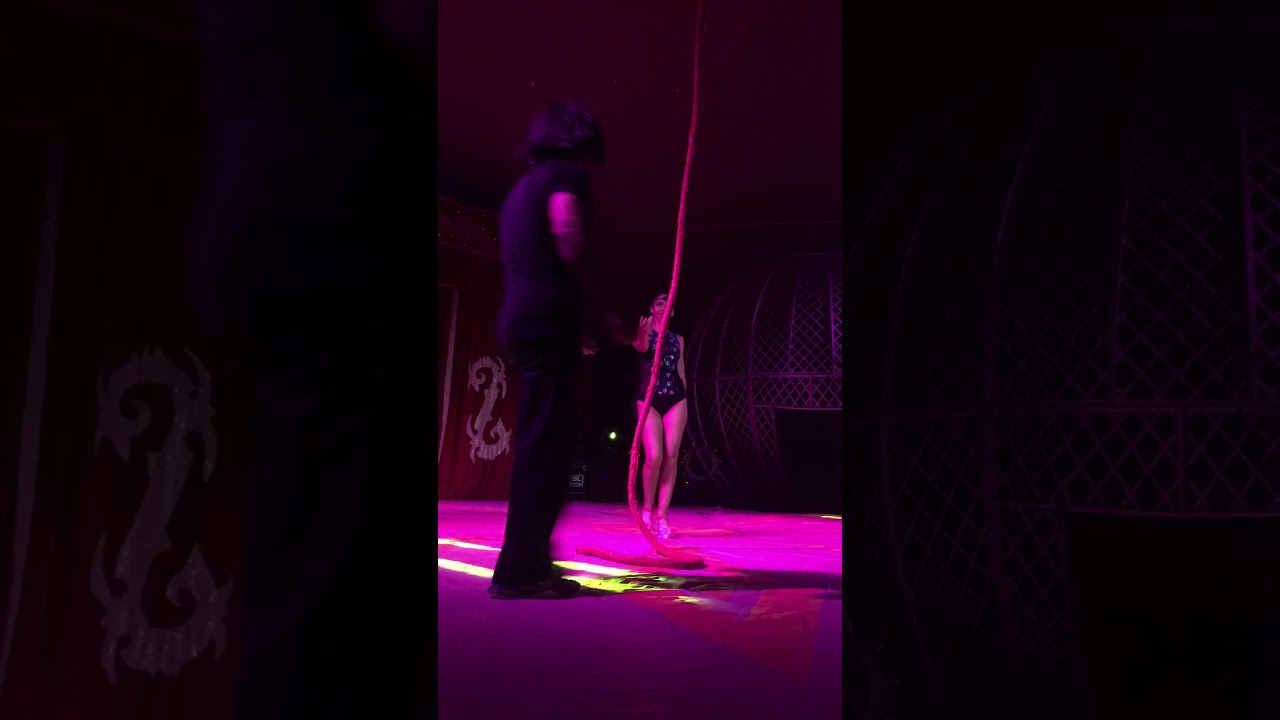 Ballet aéreo  ♥️