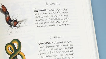 Deciphering the Dark Secrets of Codex Seraphinianus