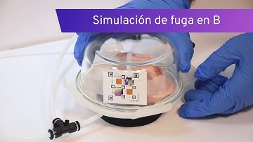 Gas leak detection simulation by our intelligent label prototype