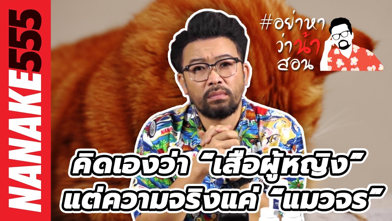 คิดเองว่า “เสือผู้หญิง” แต่ความจริงแค่ “แมวจร” | #อย่าหาว่าน้าสอน