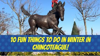 10 Fun Things To Do In Chincoteague & Assateague in WINTER or Anytime!