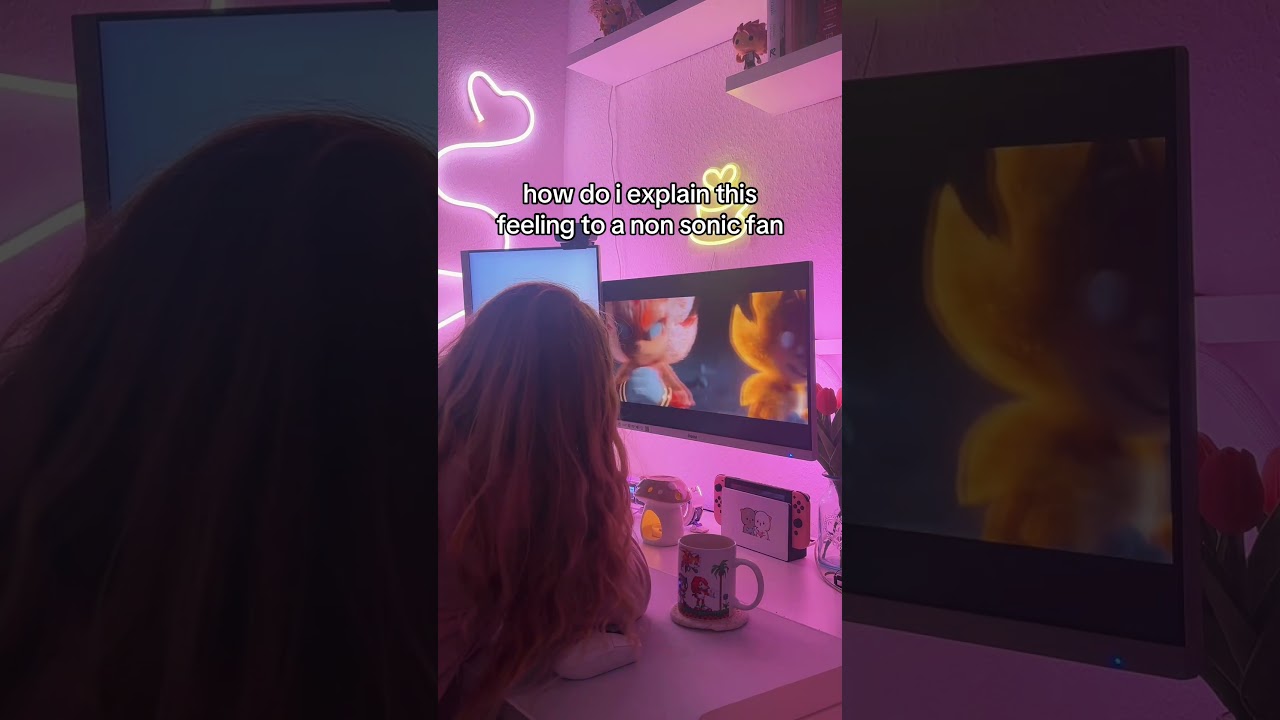 Only Sonic Fans will get this