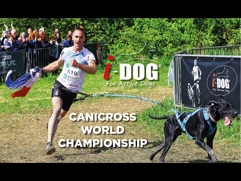 Barre CaniVTT Link ALM I-DOG - Activité chien