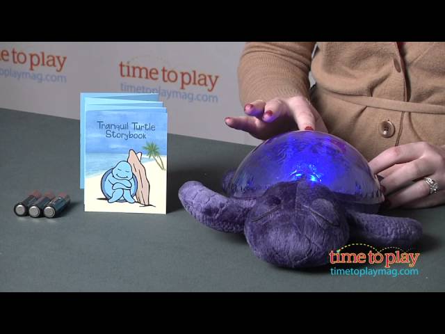 Tranquil Turtle from Cloud b 