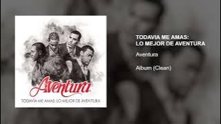 Aventura - Los Infieles (Clean Radio Edit)
