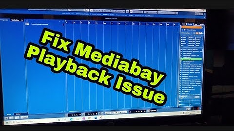 Cubase Mediabay No Sound