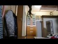 けしからん猫の跳躍力はあなどれない　Jump of a cat is formidable