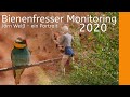 Bienenfresser | Monitoring in Rheinland-Pfalz | Jörn Weiß ein Portrait | +english subtitle