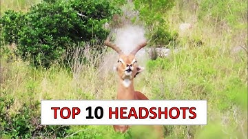10 Insane Hunting Headshots - Vol 3