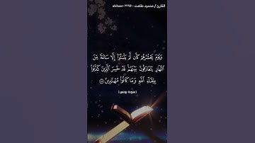 سورة يونس -( ايه ٤٥)تلاوة خاشعه ومبكيه بصوت القارئ /محمود طلعت. @alshaer_2023