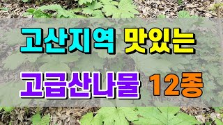 고산지역에서 자생하는 맛있는 고급산나물12종 그리고 독초들