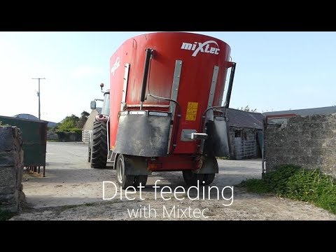 Diet Feeding with Mixtec 12 Tub