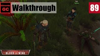 The Witcher 3: Blood and Wine [#89] - Toussaint Armor || Walkthrough
