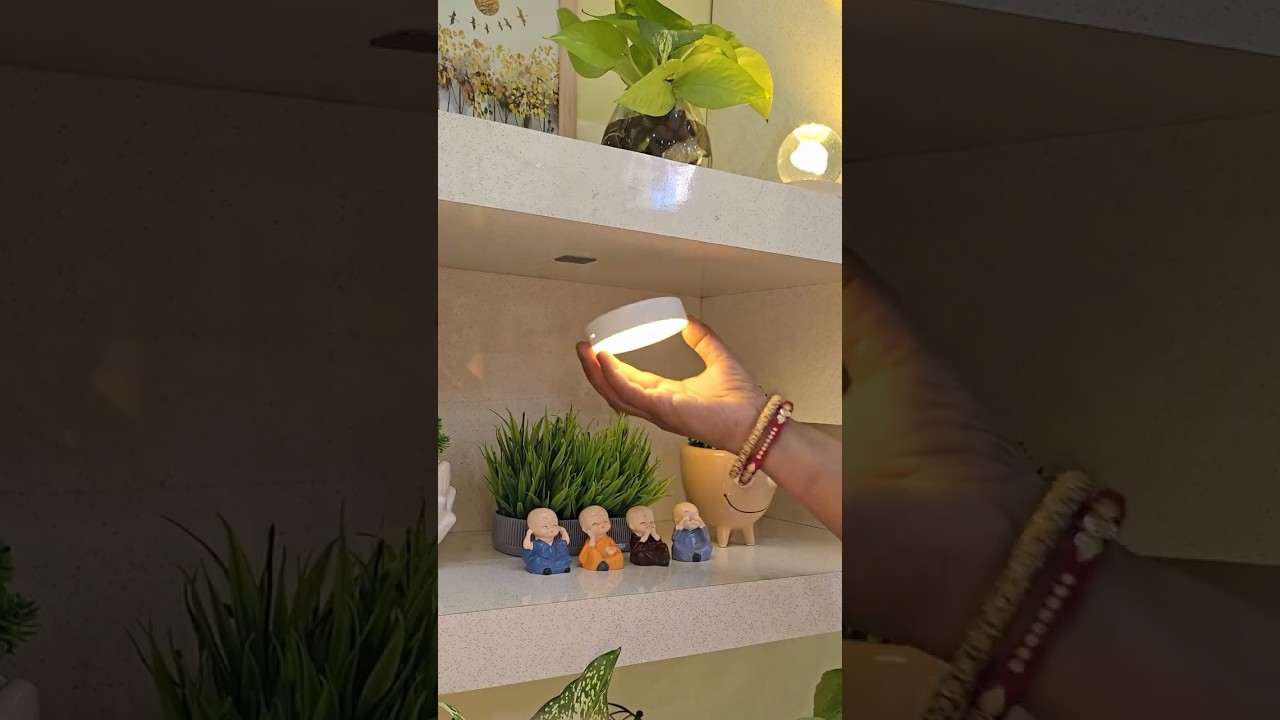 Home decor ideas with best indoor plants 🪴 