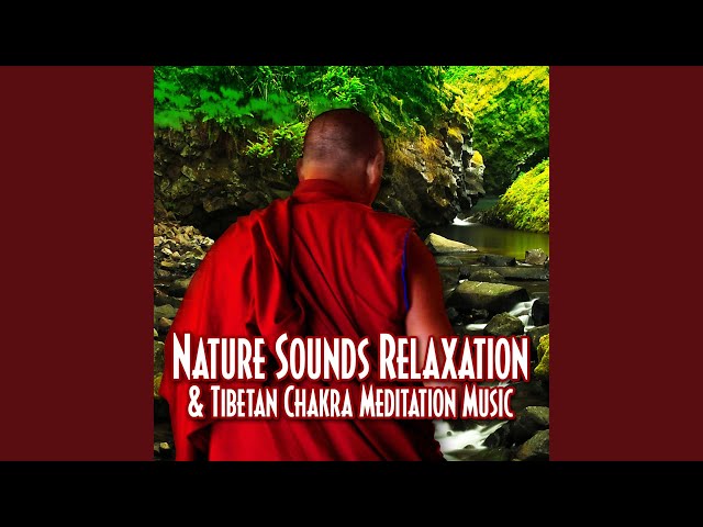 Reaching for Nirvana with Gentle Water Sounds for Stress Release and Total Relaxation