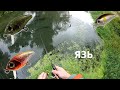 Ловля ЯЗЯ. Воблеры Bug minnow 25 SR Smith Camion SR