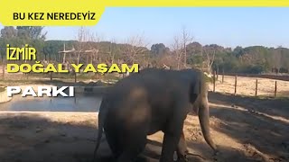 İzmir Doğal Yaşam Parkı Hayvanat Bahçesi Sasalı Çiğli İzmir Turkey Bu Kez Neredeyiz?