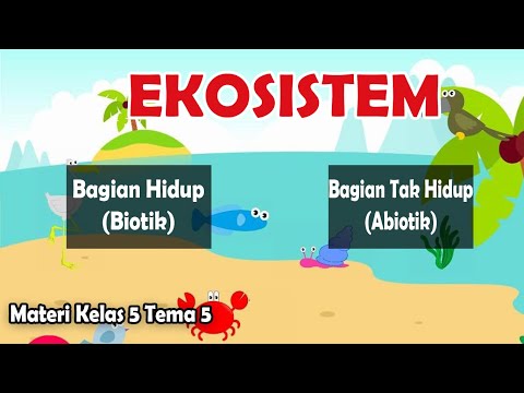 Video: Apa bagian dari ekosistem yang hidup?