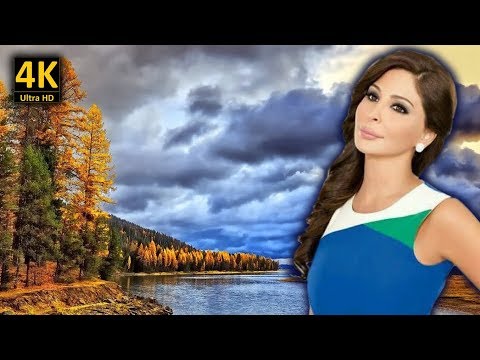 اليسا مكتوبة ليك مع كلمات الاغنية من نوفلن البناء