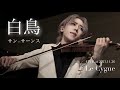 サン=サーンス『白鳥』Saint-Saëns : The Swan (Le Cygne) LIVE at 2023.11.26【弓代星空】