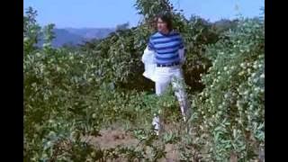 Abhi Abhi Thi Dushmani (HD) NawairaAli