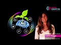 AI  The Global Green Deal