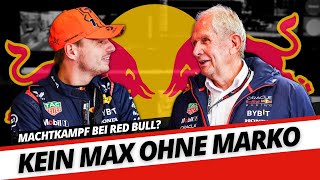 Wozu braucht Red Bull eigentlich Helmut Marko? | Interview Ralf Schumacher