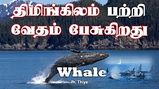 The whale is not forgotten by God| திமிங்கிலம் தேவனால் மறக்கப்படுவதில்லை Thiminkilam Pr Thiya