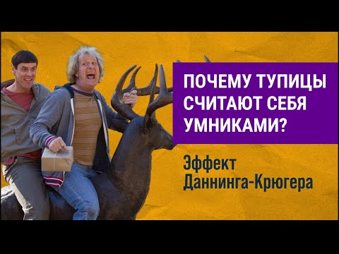 Почему тупицы считают себя умниками? Эффект Даннинга-Крюгера