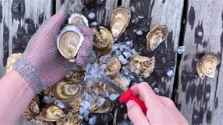 Oysters XO Step 4 of How to Shuck an Oyster (4/5)